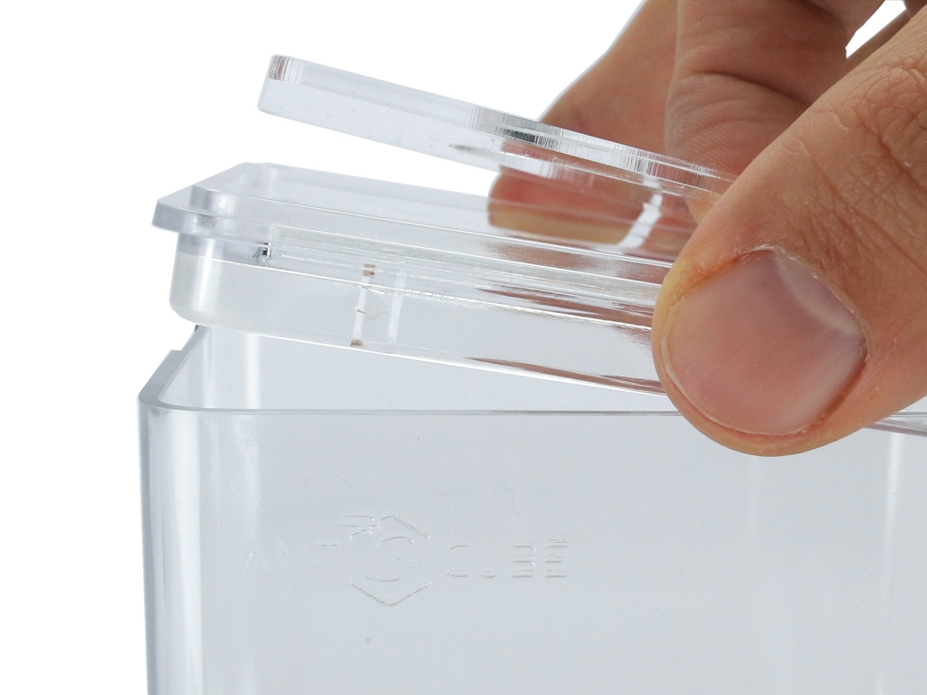 ANTCUBE - Box 10x10  - Gipsnest beige